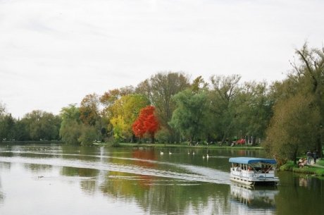 The Avon River, Stratford, Ontario.